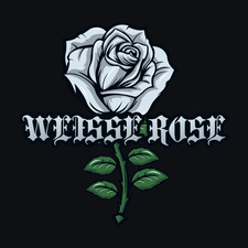 Felix | Weiße Rose