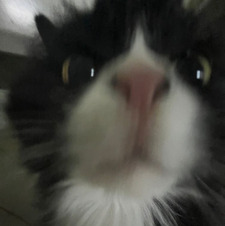 tasha !!