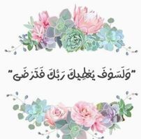 الباحثة بافو