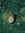 thelby__