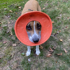 Aleksandra Karamyshev