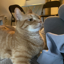 Meg