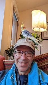 TJ McDonald