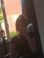 Mirthe
