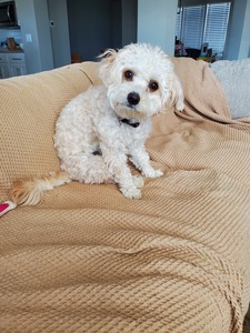 auttie ( ＾◡＾)っ ♡