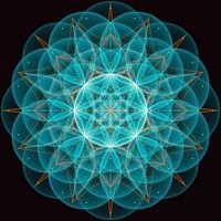 جمال بن لقريشي