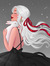 Shirin
