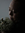 Sanna (sannsku) | 11 comments
