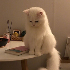 nina