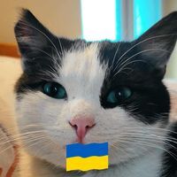 Светла Петрова