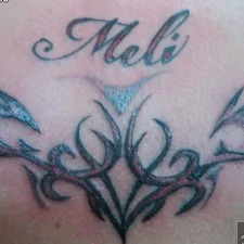 meli