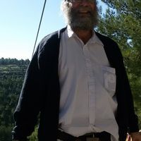 Dovid Gartner