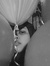 °amirah°