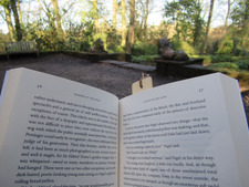 Fictional Detectives {Rob}