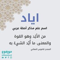 ياسر الشيخ