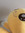 fwed bwead