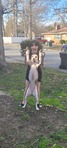 Izzy