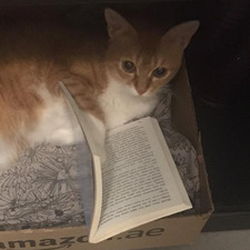 kat (&#x1f47c;&#x1f3fb;)