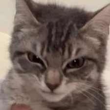 ty