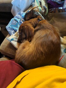 Heather Higginbottom