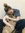 Hannah K Hipkiss