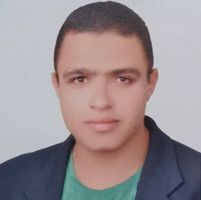 Mahmoud AbdElmohsen