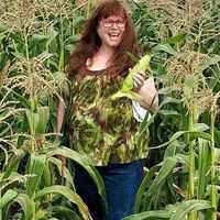 Shari Hall