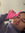 Pavreet | 2 comments