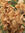 member photo member photo