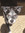 bombastic side eye | 1 comments