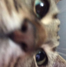 Ithil