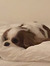 Josefin :]