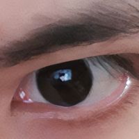 Du Mục