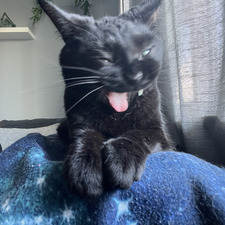 Sid