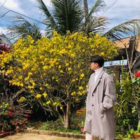 Trí Đức