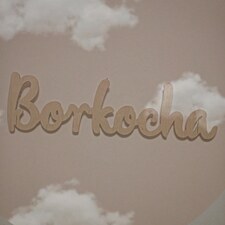 Borkocha