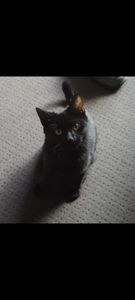 Zoe
