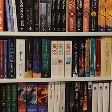 rins_bookshelf