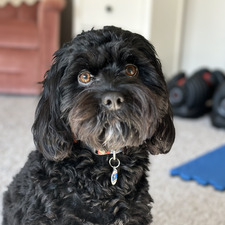 Susan