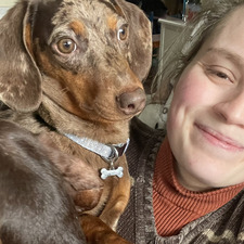 Mindless Sponge Reader