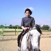 بشار المسالمة