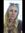 Evelyne...