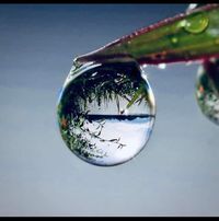 هبة ابوالهنا