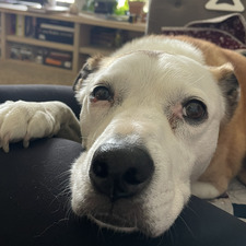 Riley