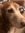 Debbie (debbie4osu) | 3 comments