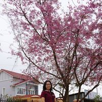 Thi Thu