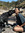 Alisha Rao