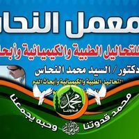 السيد النحاس