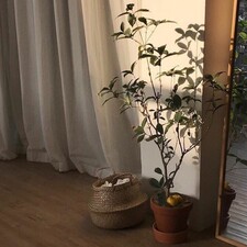 يُمنَى خَميس