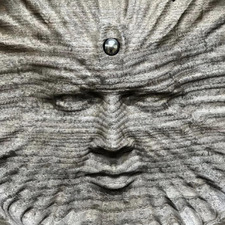 Harrison Silva-Costa